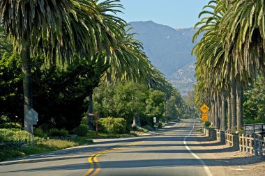 Santa barbara yol