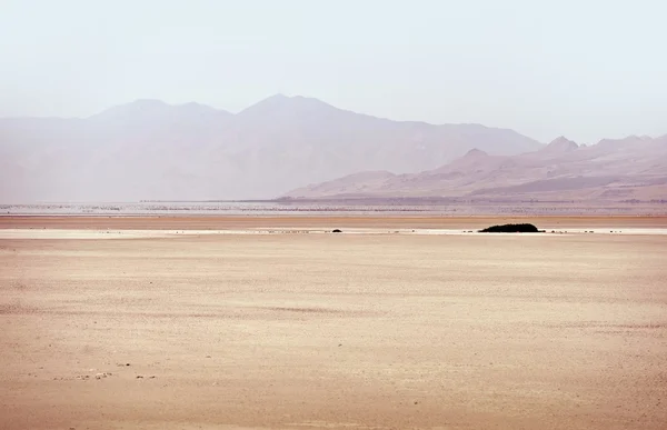 Gran Lago Salado — Foto de Stock