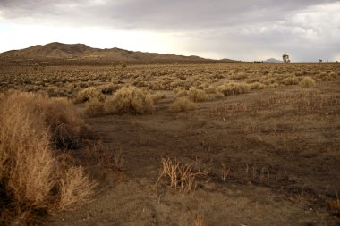 California kırsal manzara