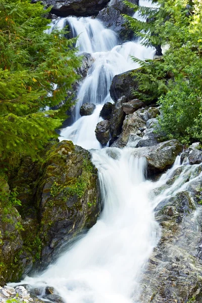 Mountain stream närbild — Stockfoto