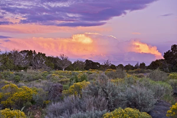 Arizona coucher de soleil — Photo