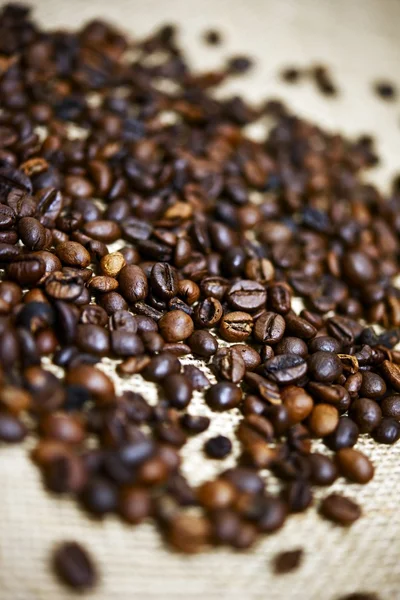 Hazır kahve çekirdekleri demlemek — Stok fotoğraf