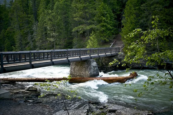 Mountain River Bridge — Stock Photo, Image