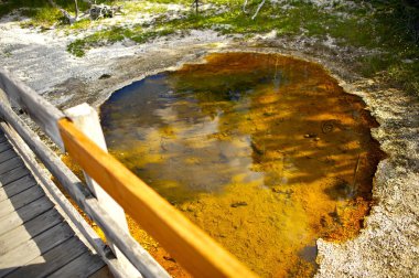 Yellowstone toksik gerekçesiyle