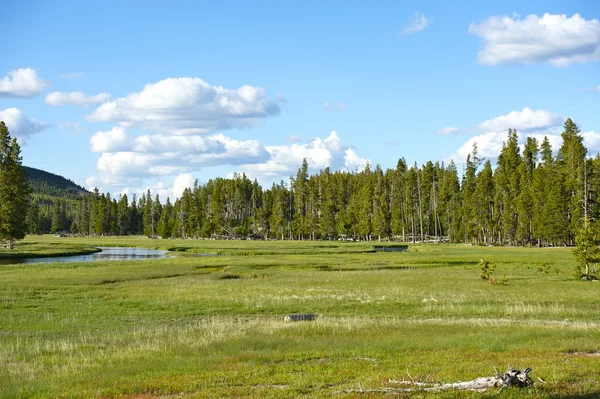 Wyoming zomer landschap — Stockfoto