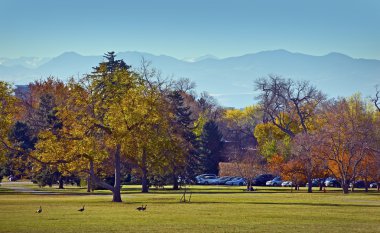 Kent parkta düşmek