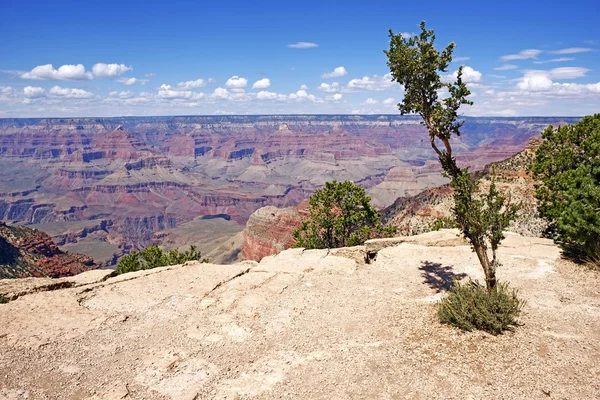 Geologia del Grand Canyon — Foto Stock