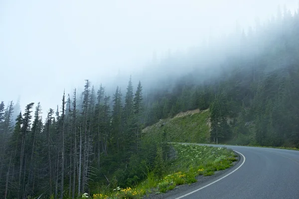 Niebla carretera de montaña — Foto de Stock