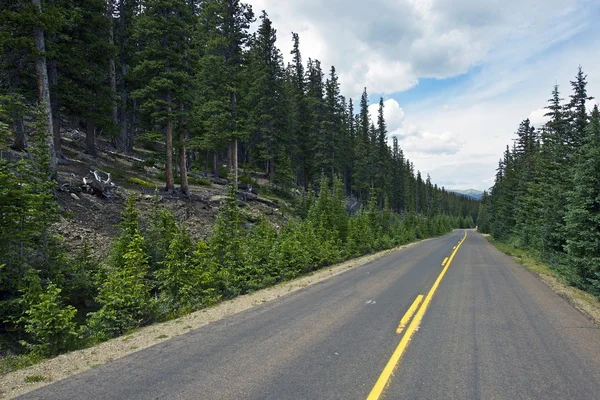 Route forestière du Colorado — Photo