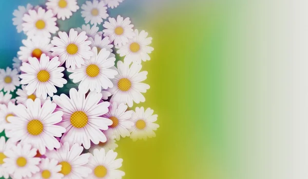 Daisies Background Illustration — Stock Photo, Image