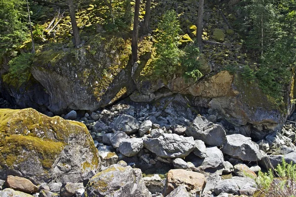 Rocky a mechový potok — Stock fotografie