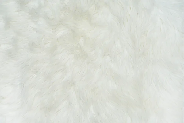 Pelle di pecora Cappotto — Foto Stock