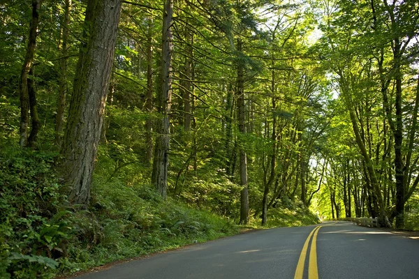 Scenic Oregon Road — Stock Photo, Image