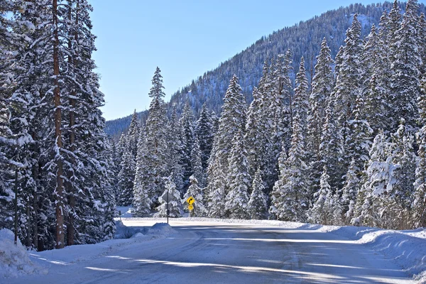 Colorado Paisaje de invierno —  Fotos de Stock