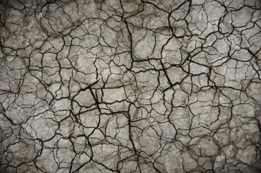 Dry Cracked Soil Background clipart