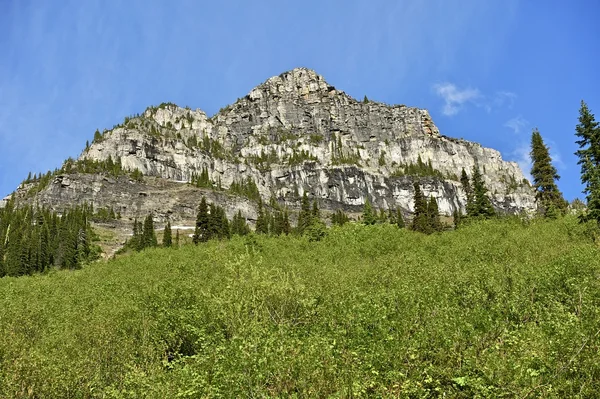 Montana sommar landskap — Stockfoto
