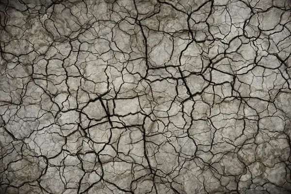 Fundo seco do solo rachado — Fotografia de Stock
