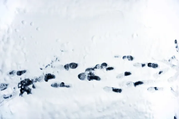 Fußabdrücke auf Schnee — Stockfoto