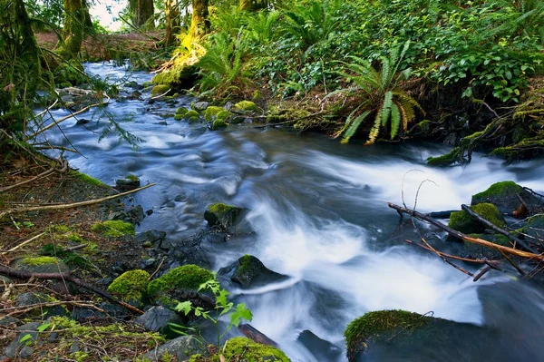 Küçük yosunlu creek — Stok fotoğraf