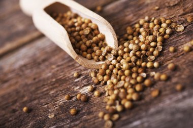 Kuru kişniş tohumu