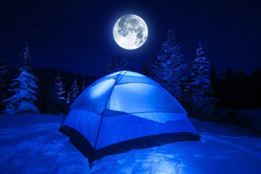Winter Night Camp clipart