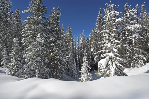 Paesaggio invernale — Foto Stock