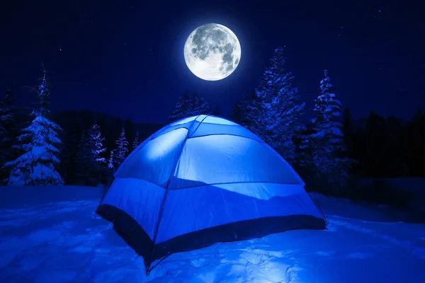 Winter Night Camp