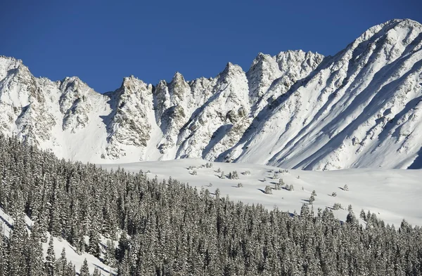 Invierno naturaleza paisaje — Foto de Stock