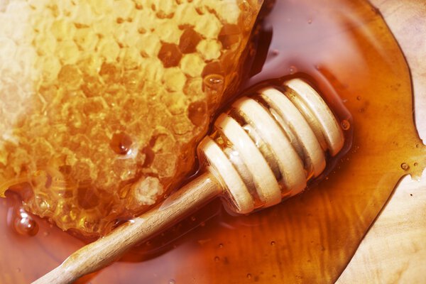 Сырой мед с Диппером
