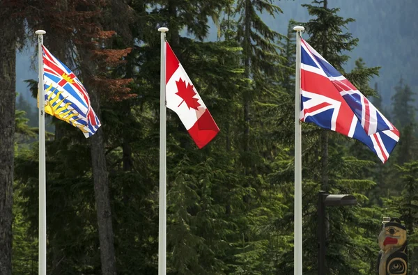 Három kanadai zászlók — Stock Fotó