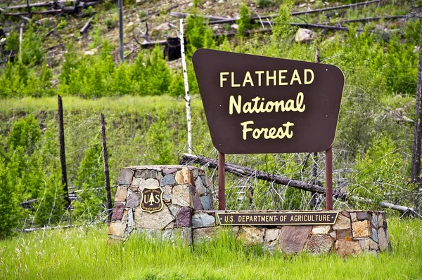 Flathead nationalskog — Stockfoto