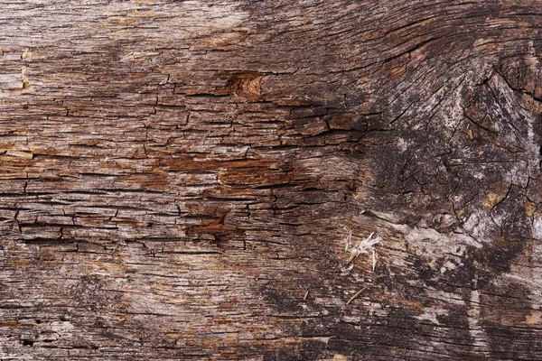 Vieux panneau de bois — Photo