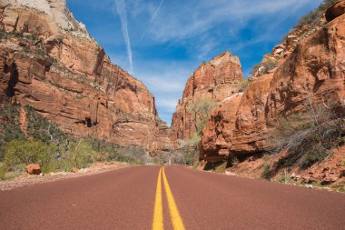Zion utah yol