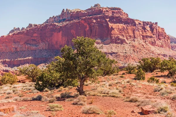 Utah state felsige Bildung — Stockfoto