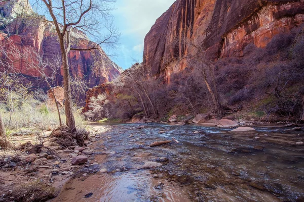 Zion Park Virgin River — Stock Photo, Image