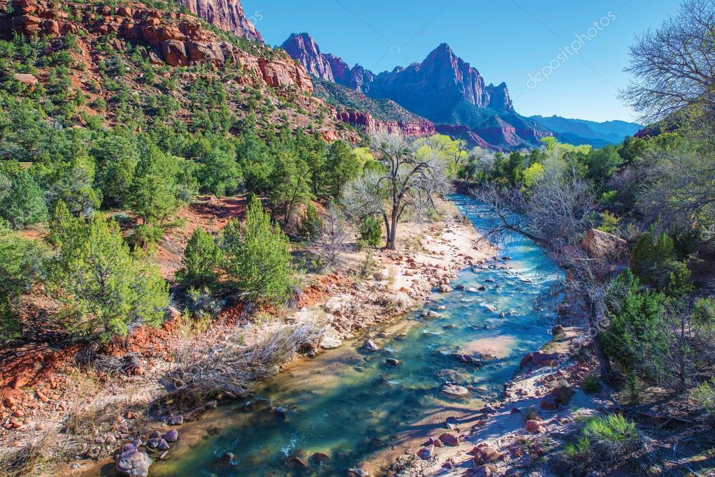 Spring in Zion National Park — Stock Photo © 44561275
