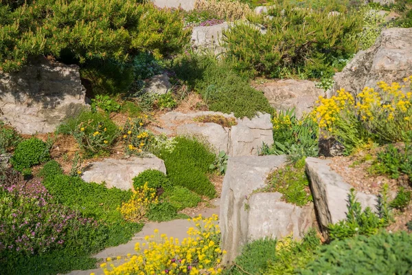 Rotsige zomertuin — Stockfoto