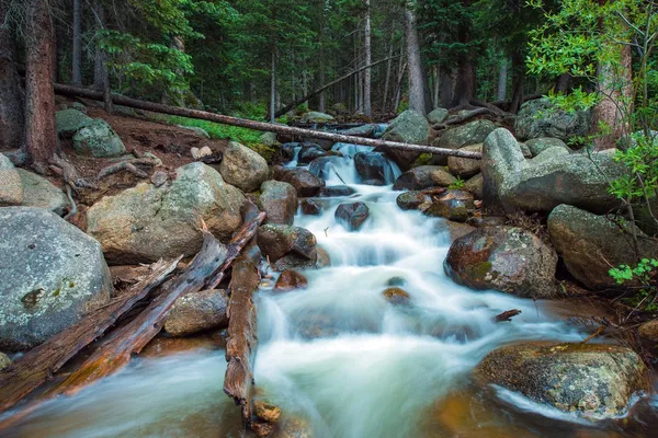 Corrente di montagna Colorado — Foto Stock