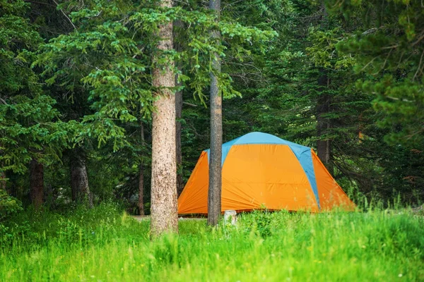 Tenda de acampamento florestal — Fotografia de Stock