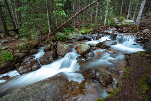 Rio profundo da floresta do Colorado — Fotografia de Stock