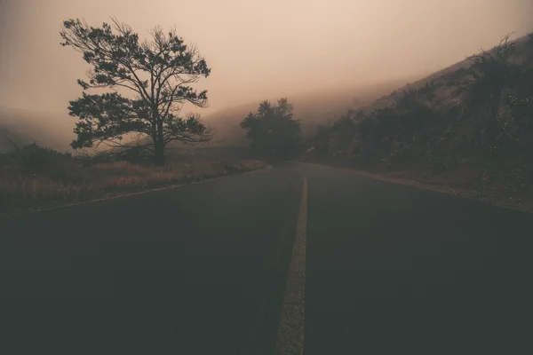 Furcsa ködös út — Stock Fotó