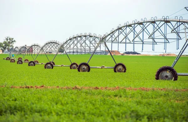Innaffiatura delle colture mediante irrigatori — Foto Stock