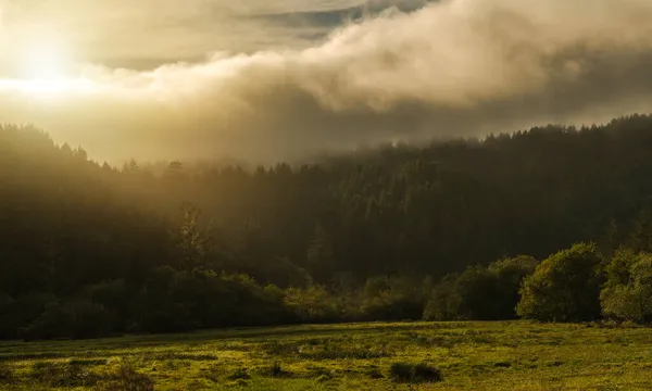 California Coastal Fog Rolt Tijdens Zonsondergang Redwood Forest Crescent City — Stockfoto