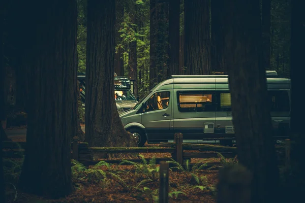 现代B级汽车露营者面包车在红杉树之间颠簸 美国北加州 — 图库照片