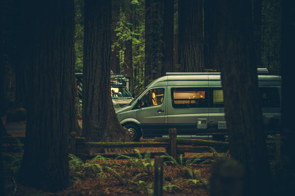 Современный автомобиль класса B Camper Van Camping Between Redwood Trees. Северная Калифорния, США.