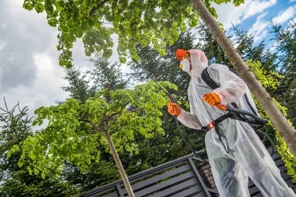 Professional Caucasian Garden Worker Spraying Backyard Trees Plants Garden Insecticide — Stock Photo, Image