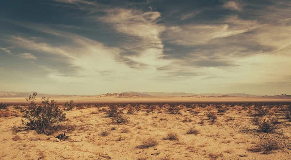Southern California Mojave Desert Raw Landscape Estados Unidos América — Foto de Stock