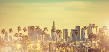 Los Angeles Lies in a basin in Southern California, Adjacent to the Pacific Ocean. Downtown Towers and the Palms. Warm Sunset Color Grading and Panoramic Format.