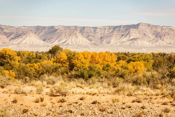 Scenic Grand Junction Western Colorado Landscape October Fall Foliage United — Stok fotoğraf