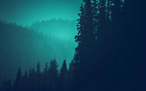 Colorado Mountains Woodland Bluish Color Grading Fondo Concepto Naturaleza Fondo — Foto de Stock